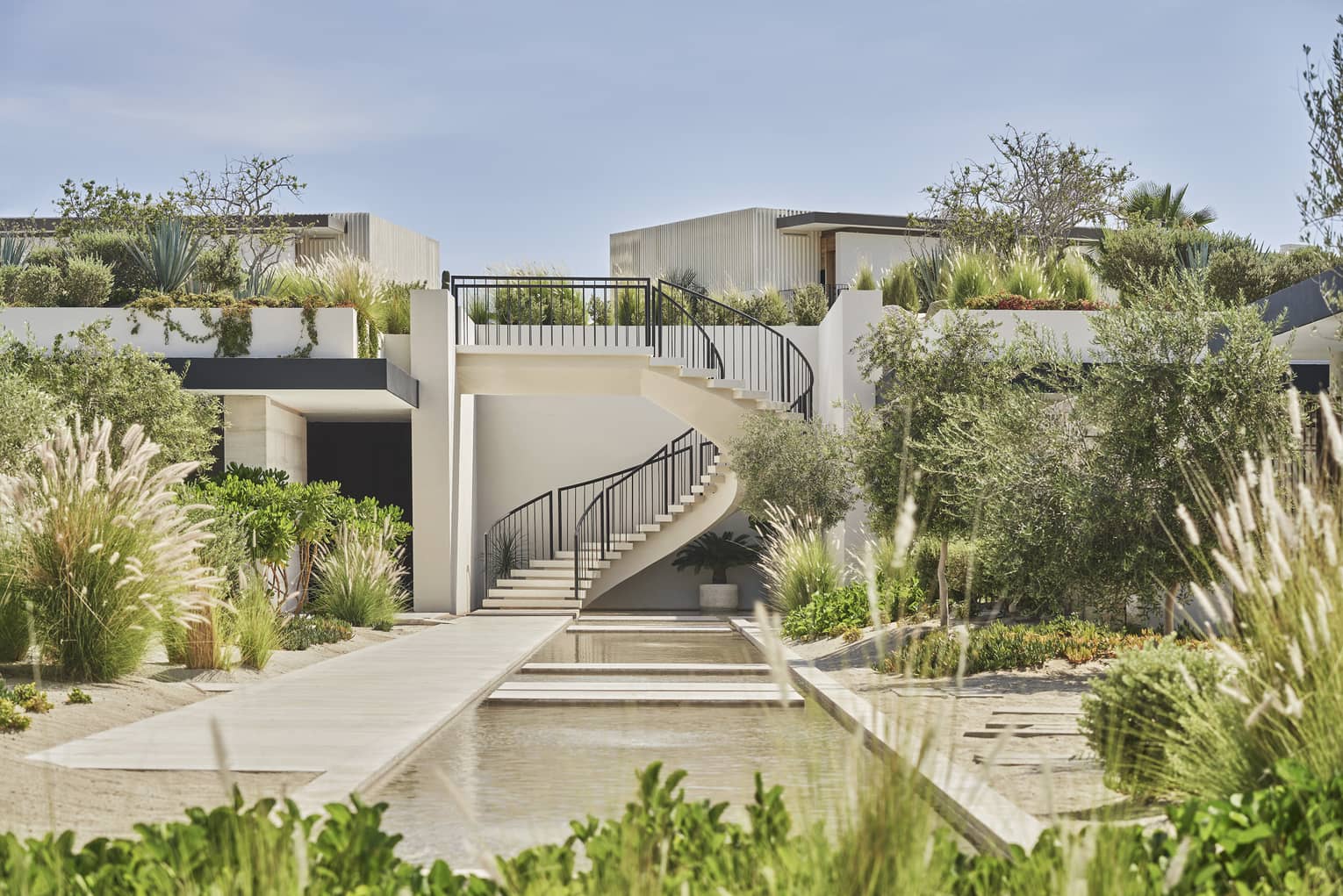 An outside courtyard with spiral stairs and plants.