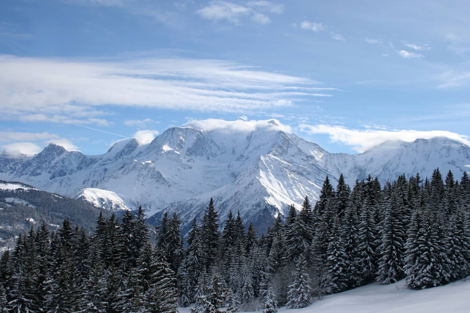 Snowy French Alps mountains over trees