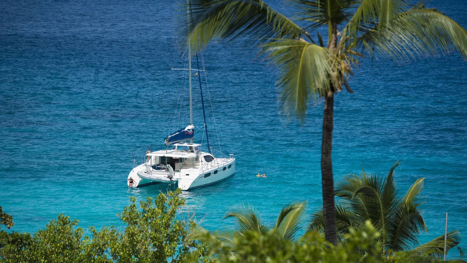 Looking down past tall palm tree at white yacht on blue ocean on sunny day