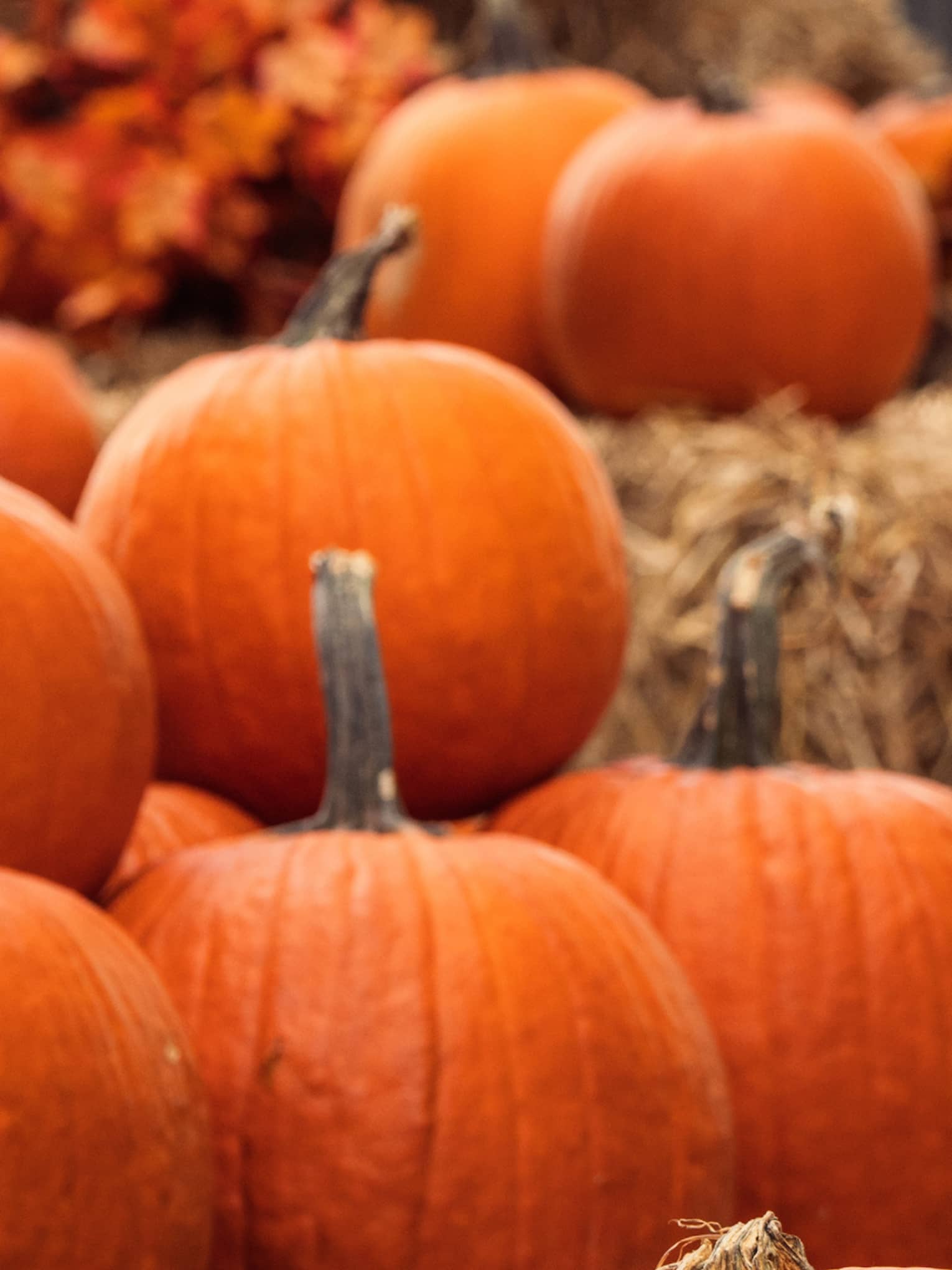 Pumpkins and hay