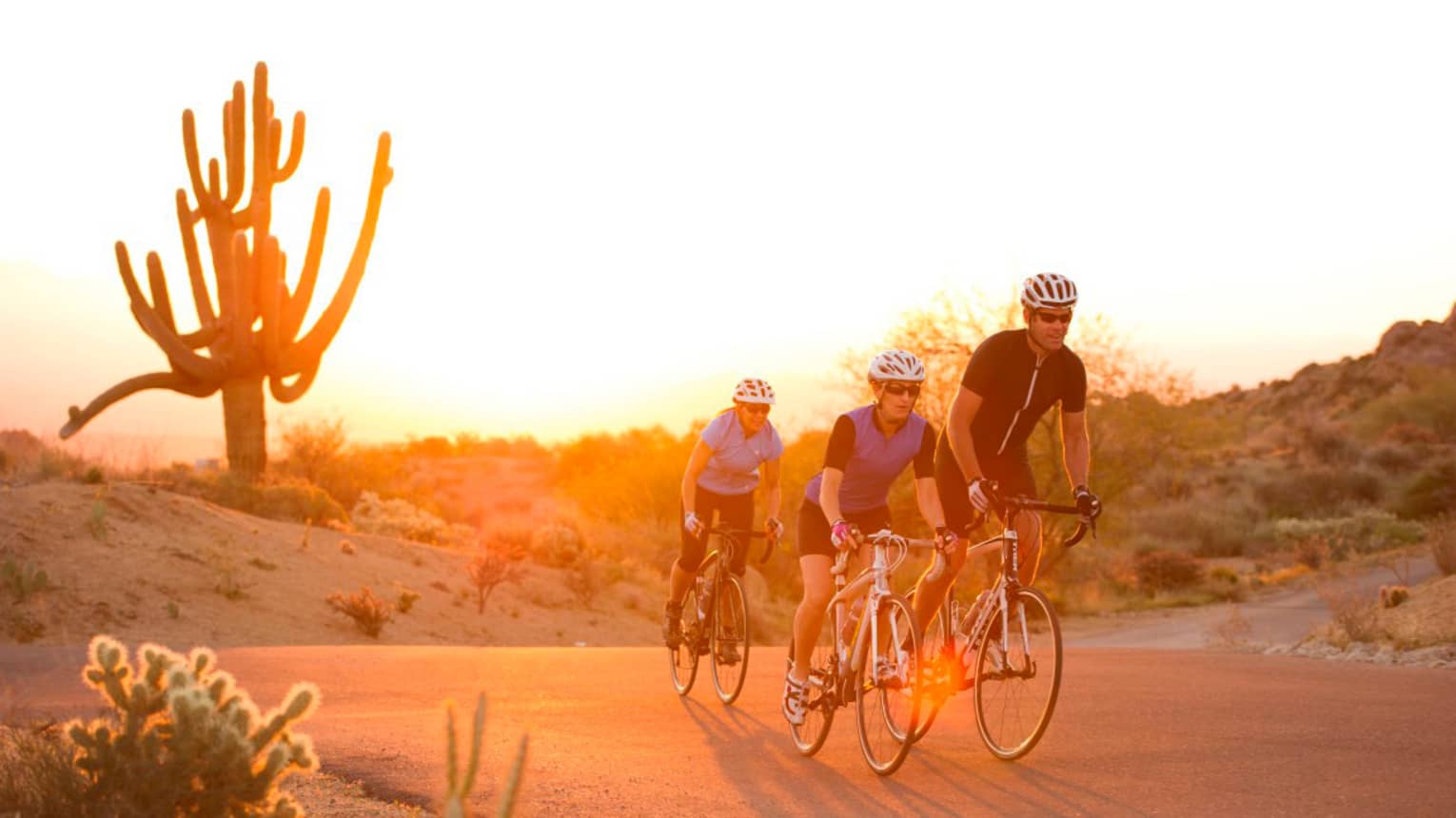 Three cyclists ride on desert path past large cactus at sunset