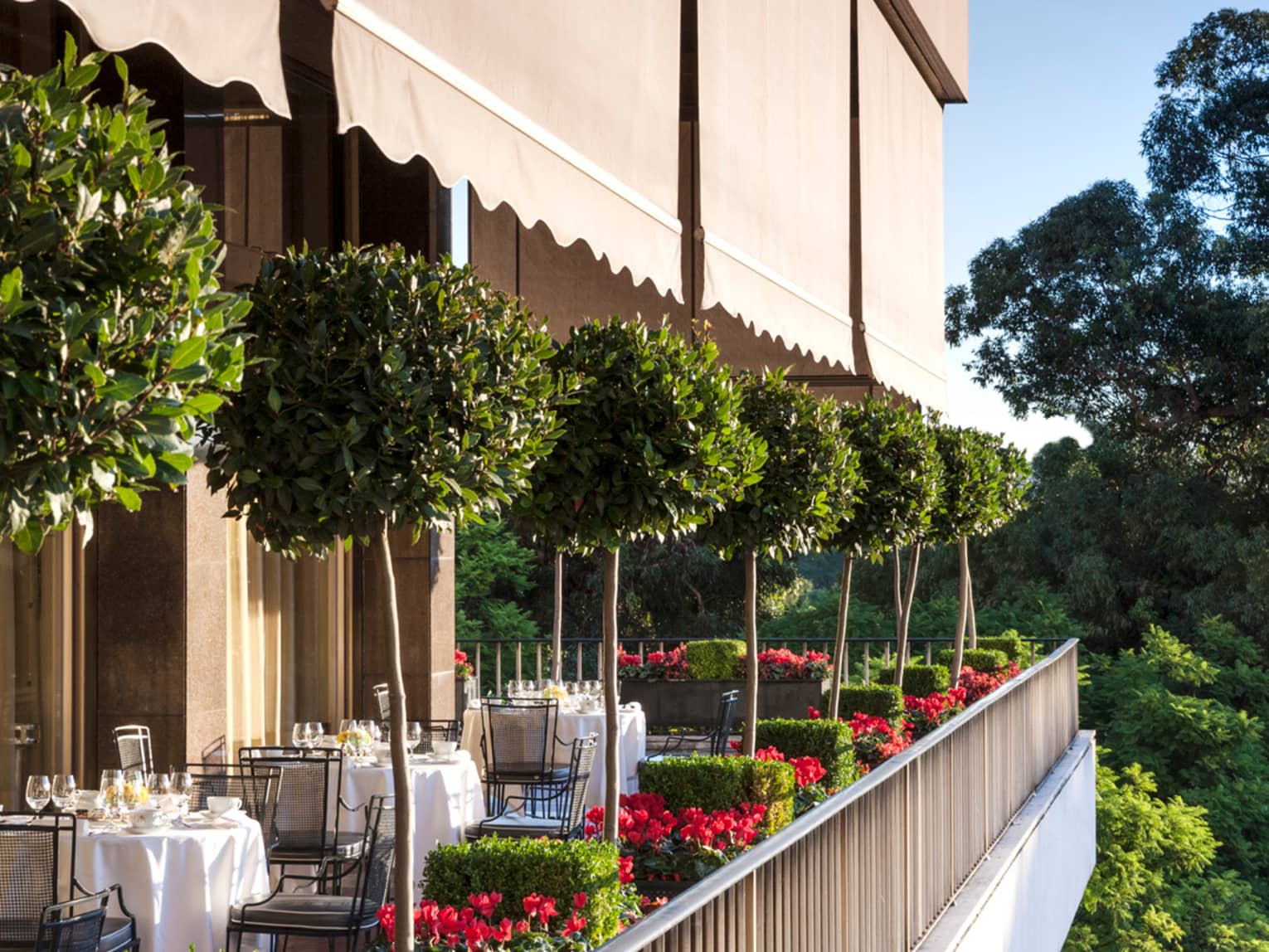 Veranda Terrace Side view of patio dining tables, potted trees 