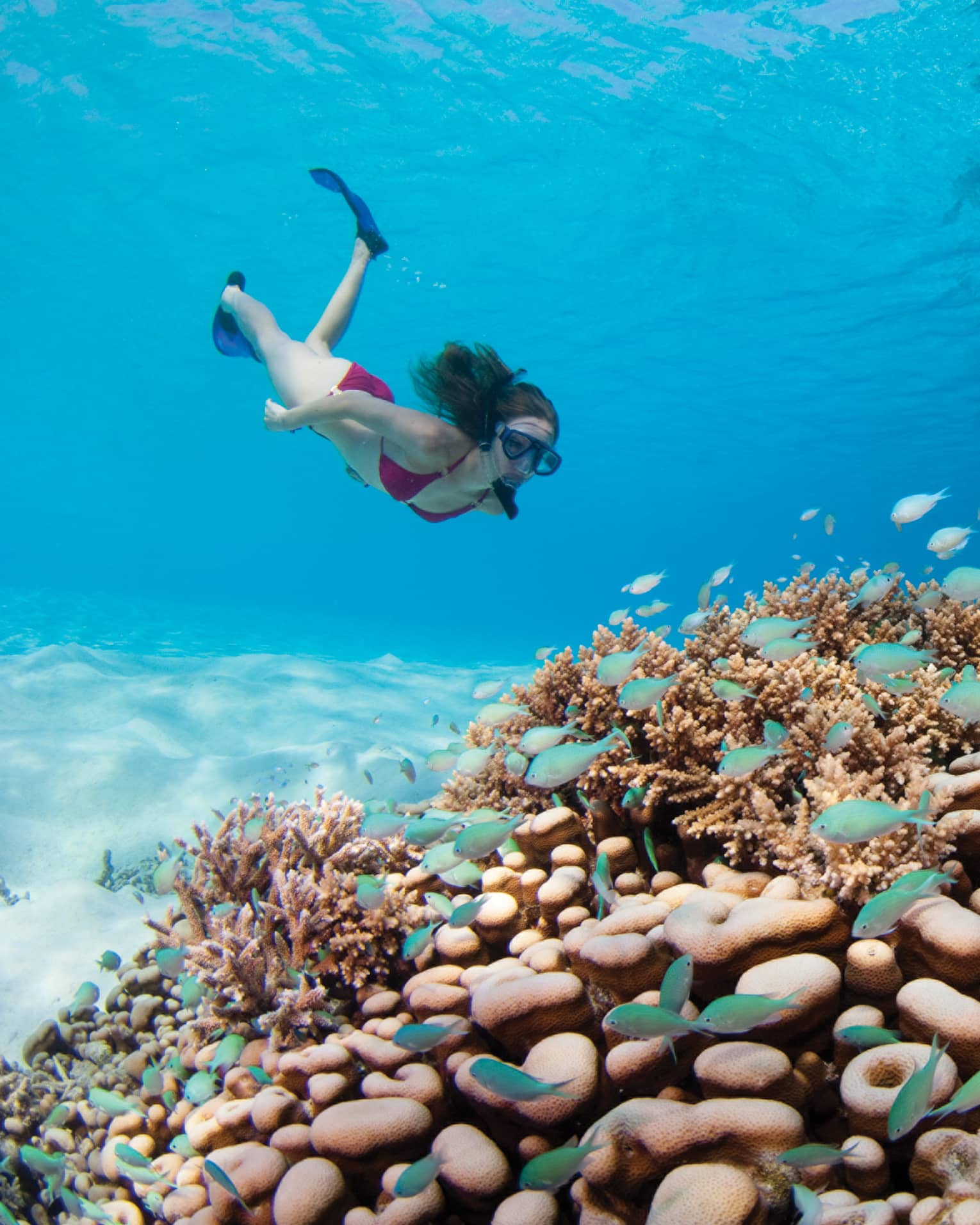 Snorkeller swims underwater towards colourful coral reef, blue tropical fish