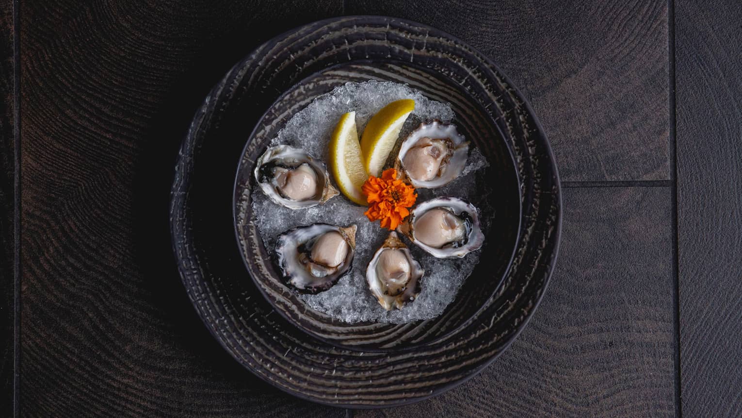 Aerial view of platter with oysters, lemon wedges, red flower on ice