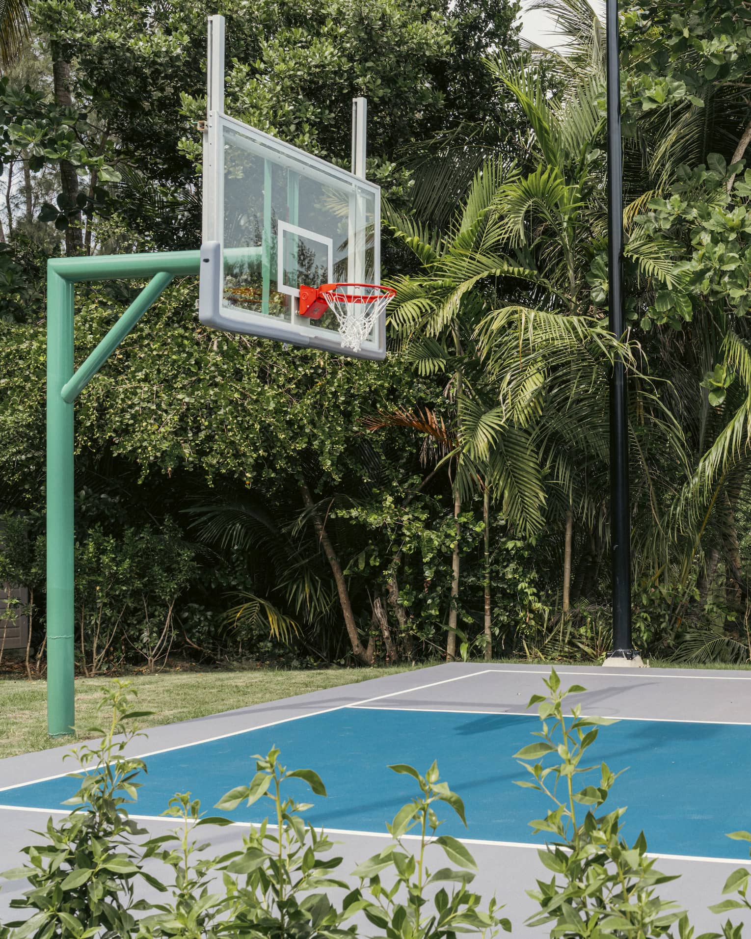 Basketball court surrounded by tropical trees