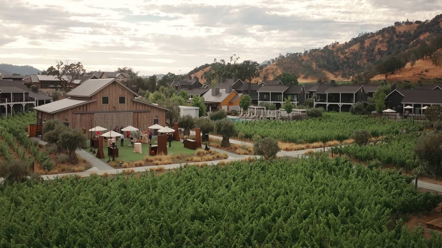 ELEVATE EVERY EVENT IN NAPA VALLEY