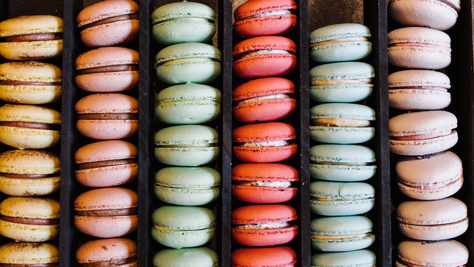 Rows of colourful macaron desserts