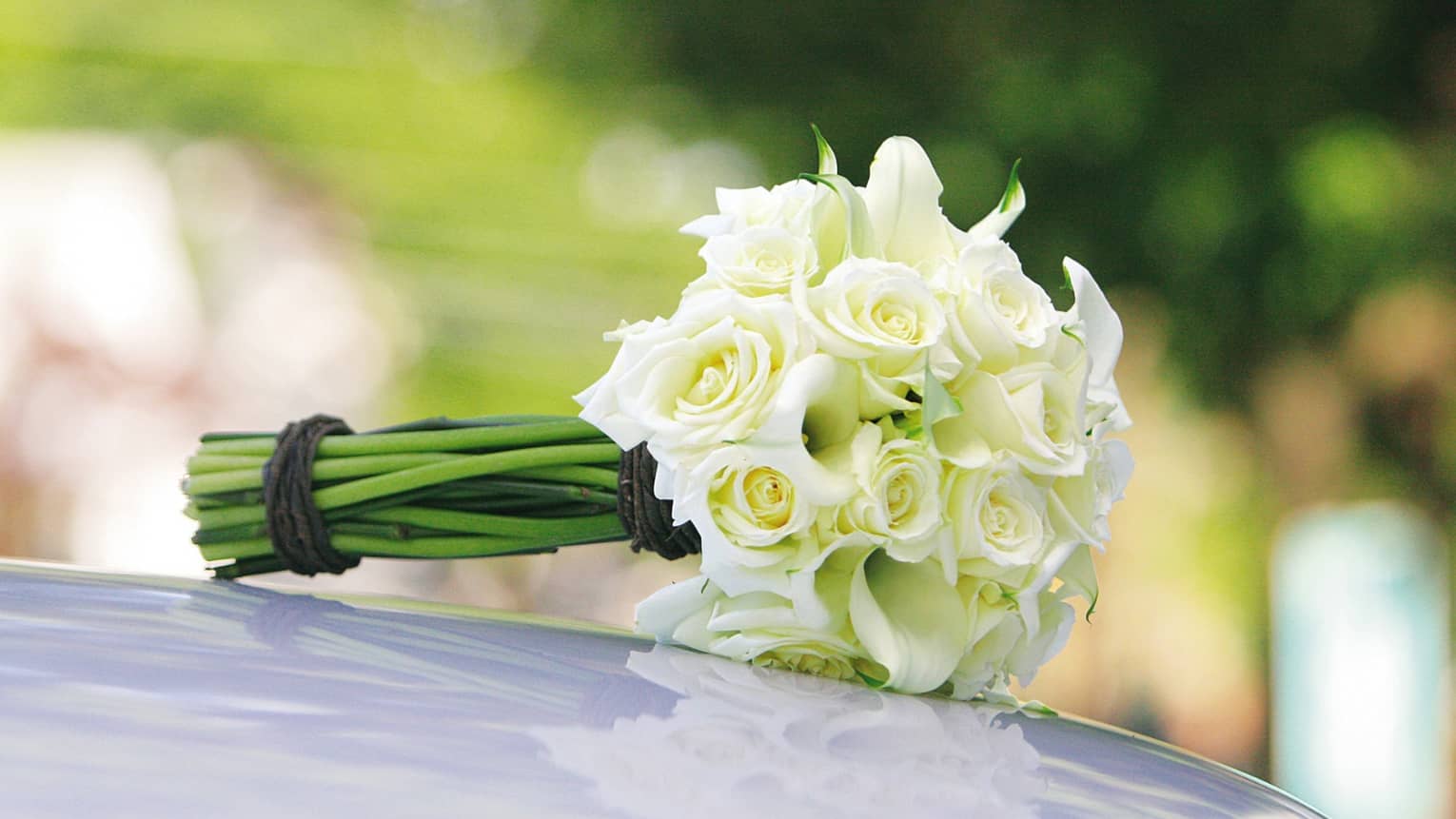Wedding bouquet of white roses rests on hood of white car