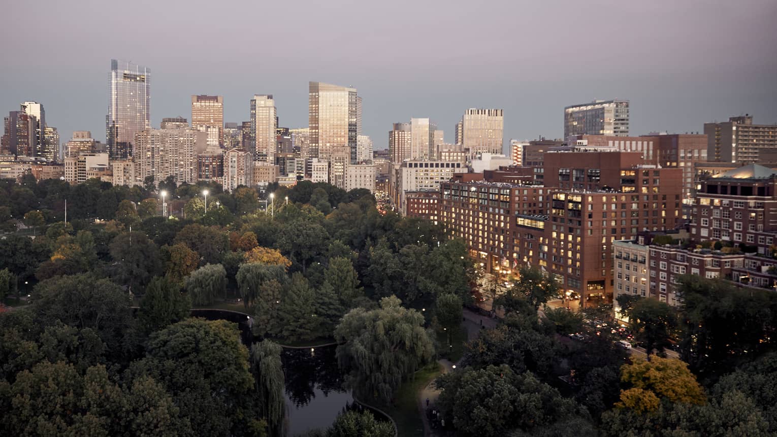 Aerial view of Boston Public Garden canopy of green trees and pond, buildings with lit windows and Boston city skyline at dusk