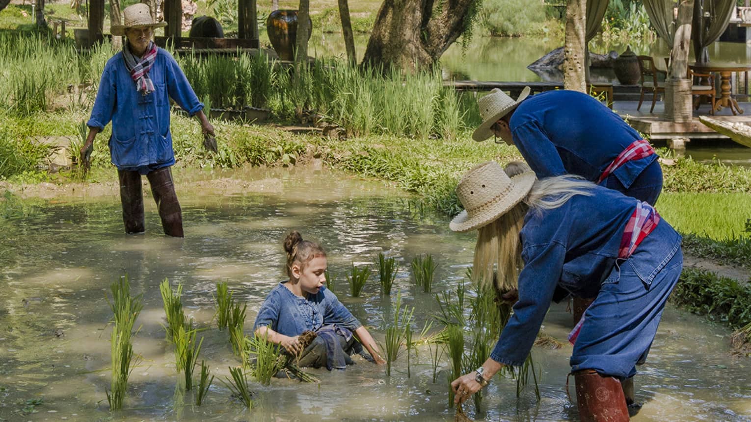 A family in navy blue standing in the brown waters of a rice patty beneath a palm tree. 