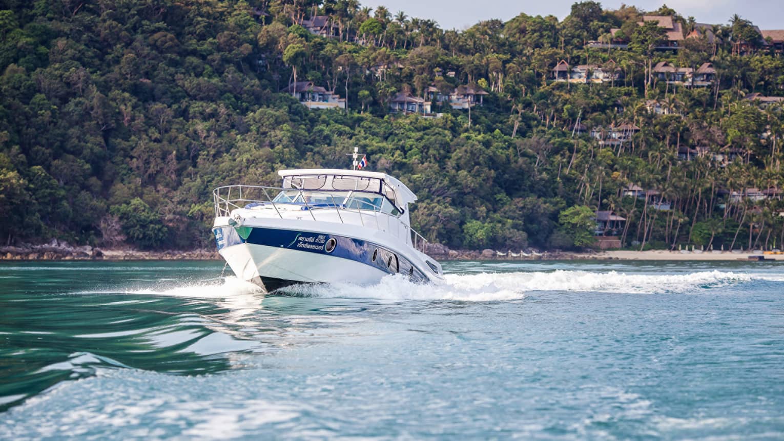 Jet boat glides across blue water, houses along tropical landscape in background