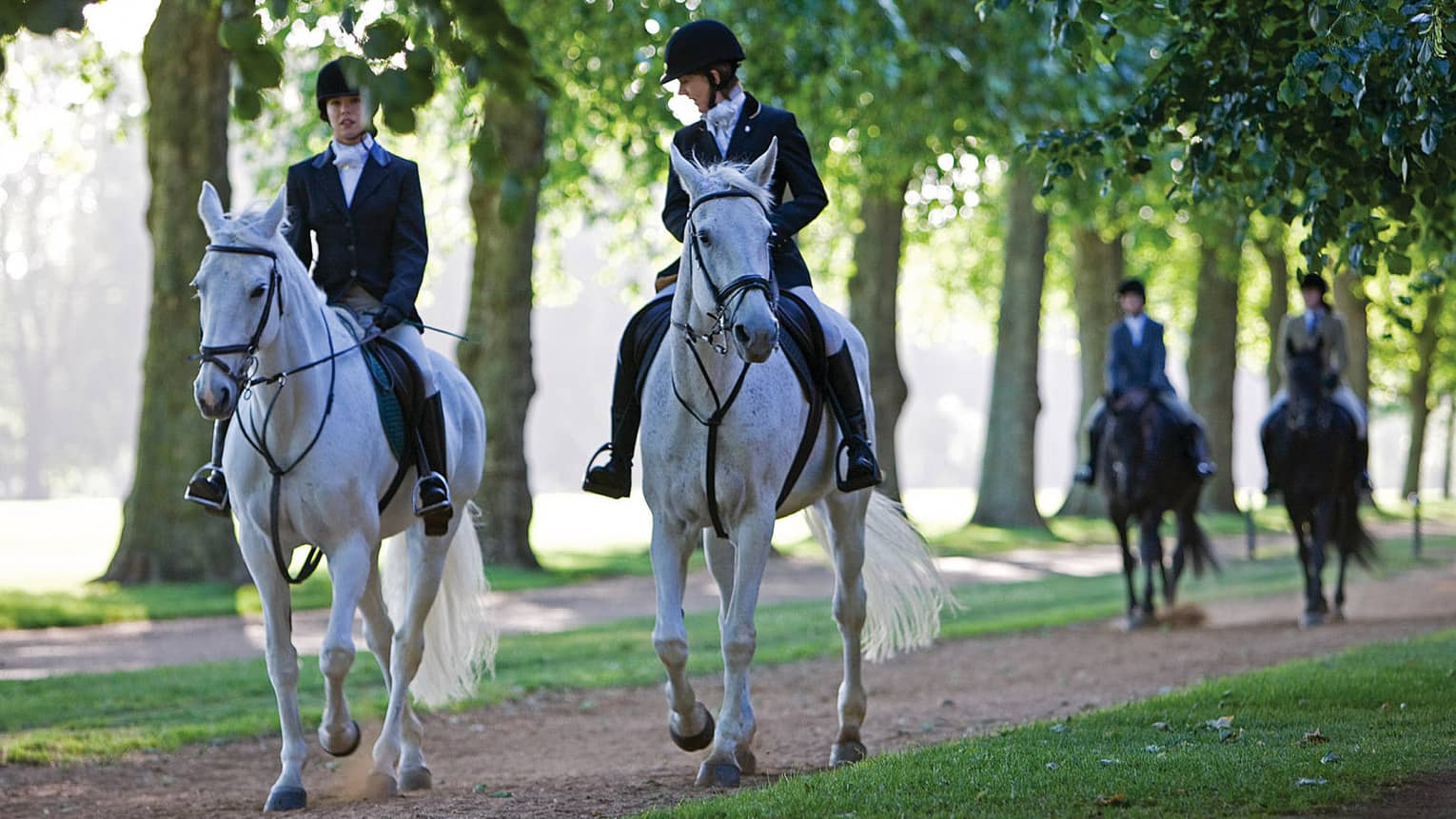 Hyde Park, group rides horses along park path