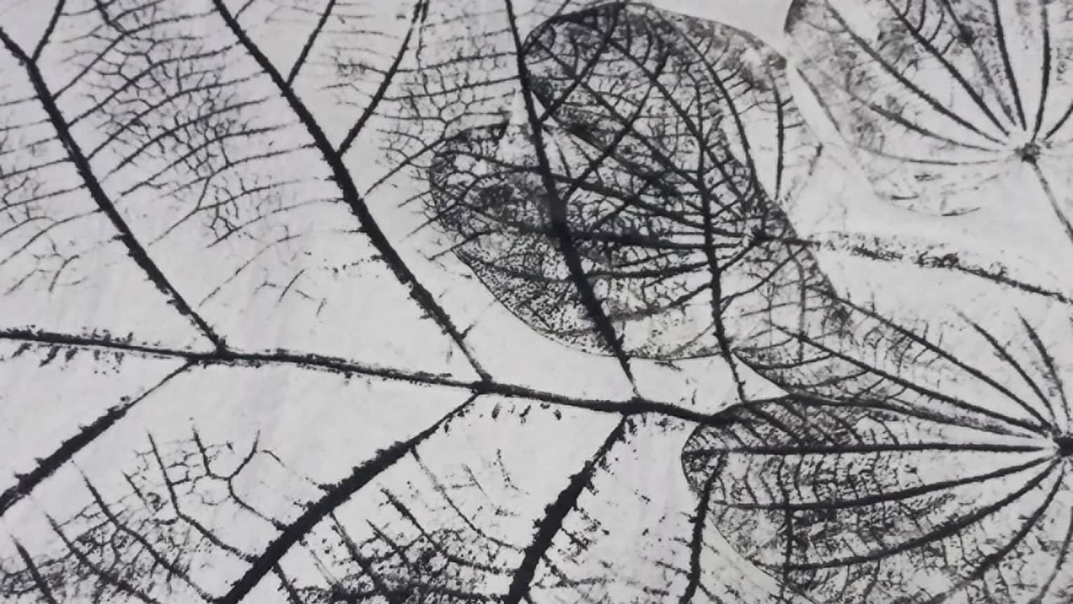 Ink prints of leaves on a piece of paper.