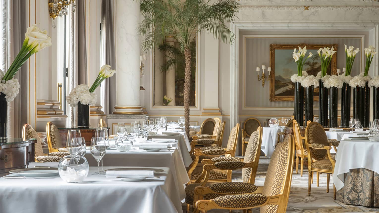 Le Cinq Restaurant étoilé Michelin à Paris Cuisine gastronomique à