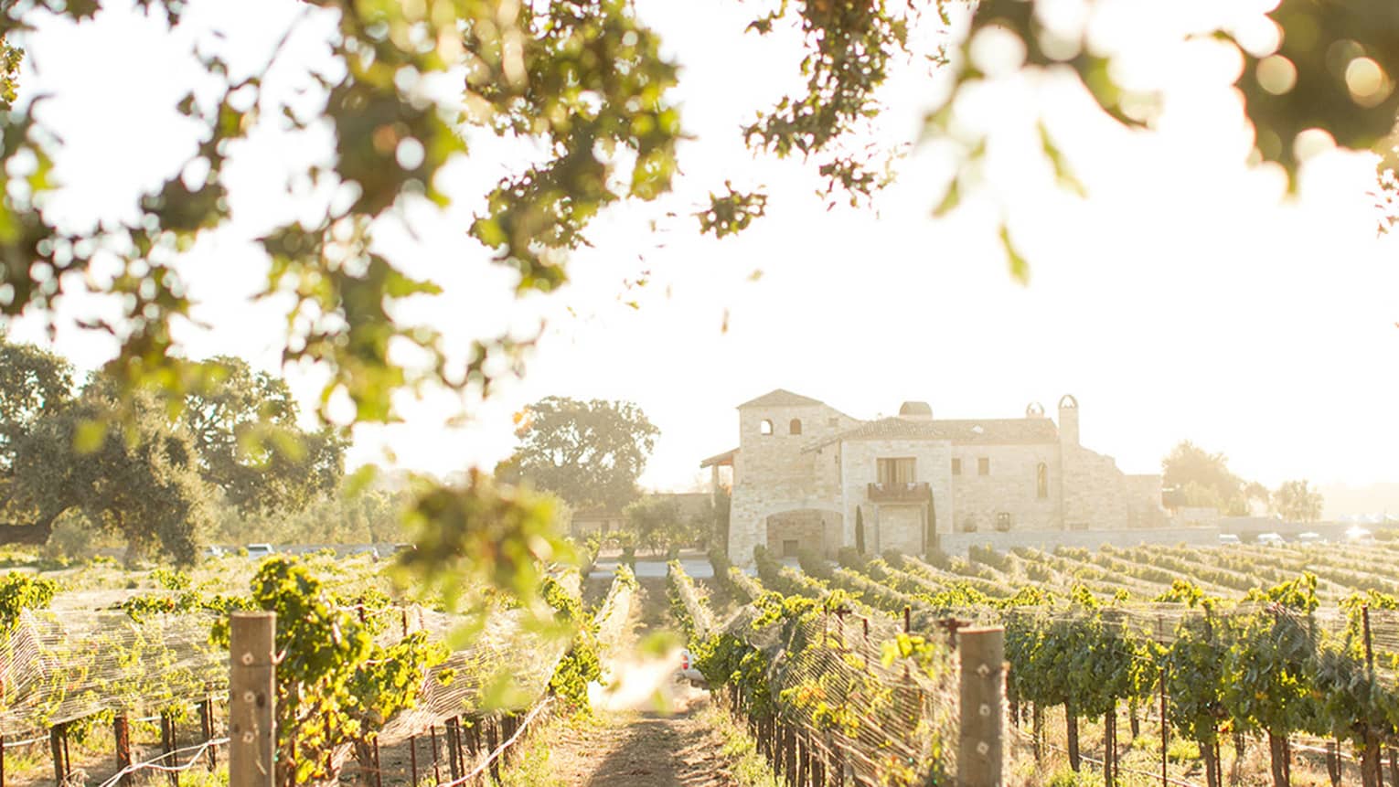 Sun glows over rows of vines in California vineyard, Sunstone Vineyards stone house
