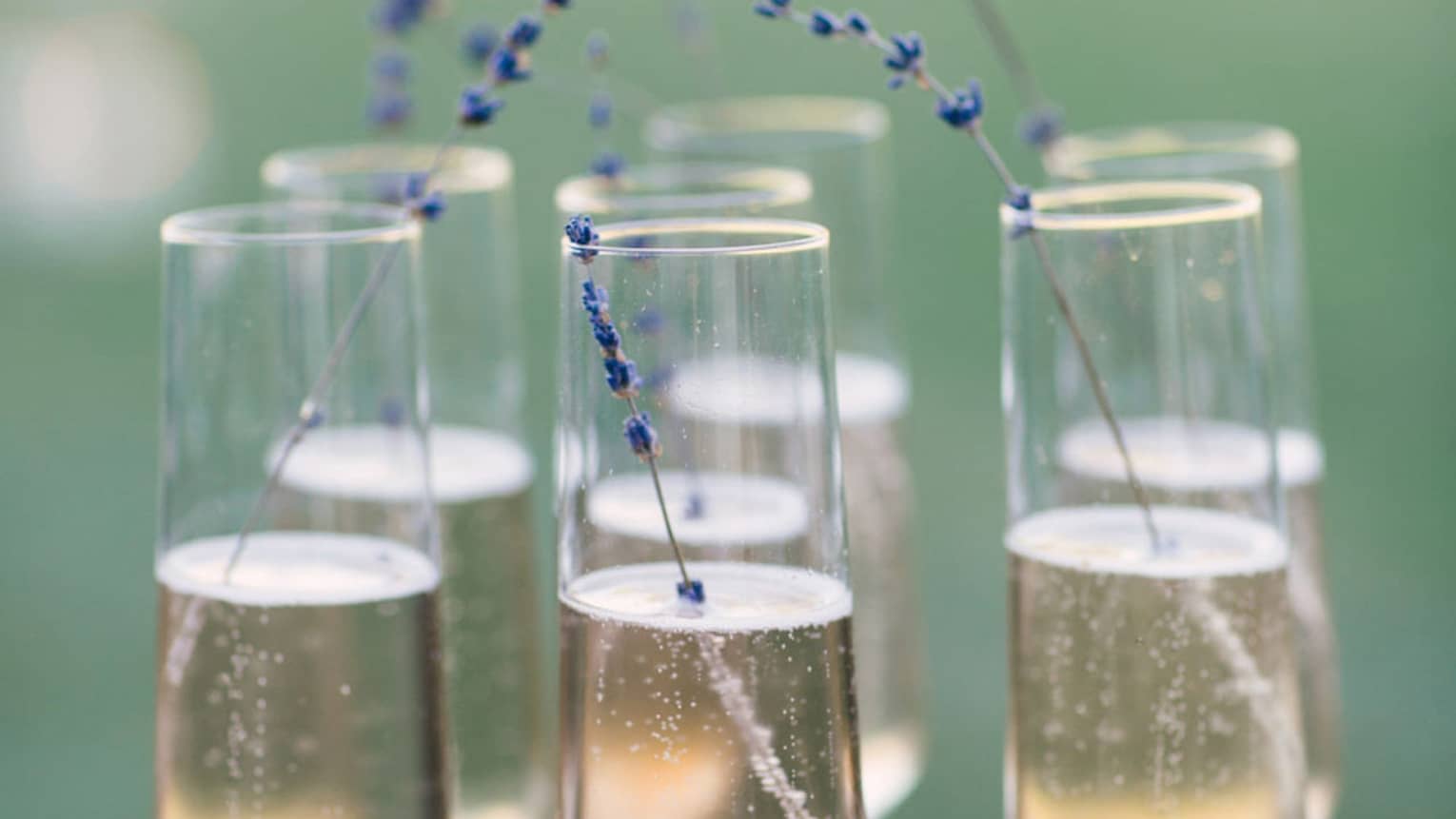 A tray of six Champagne flutes garnished with a sprig of lavendar