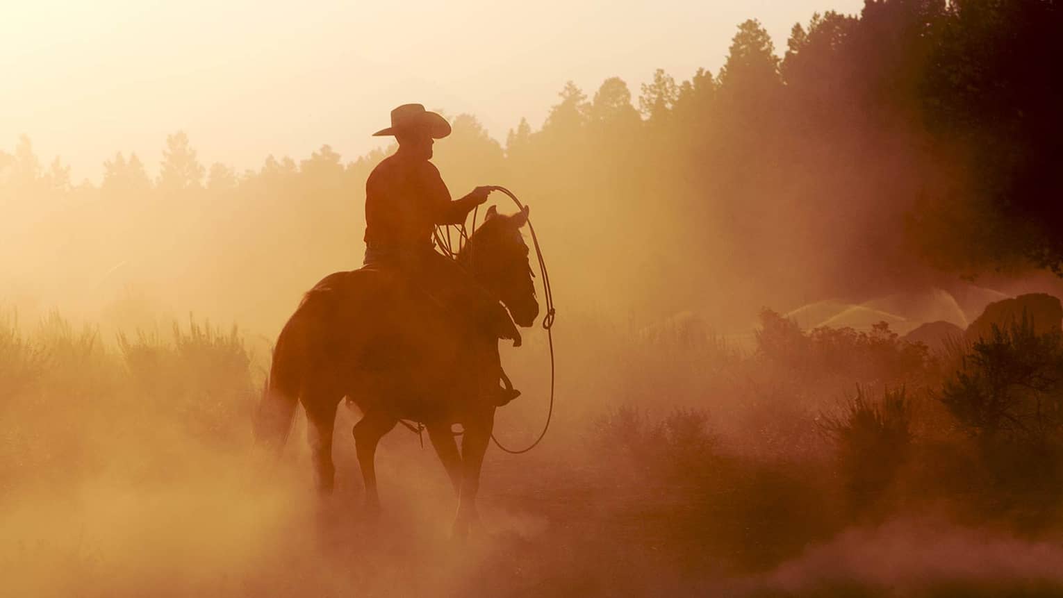 Silhouette of cowboy with rope on horse in misty mountain forest