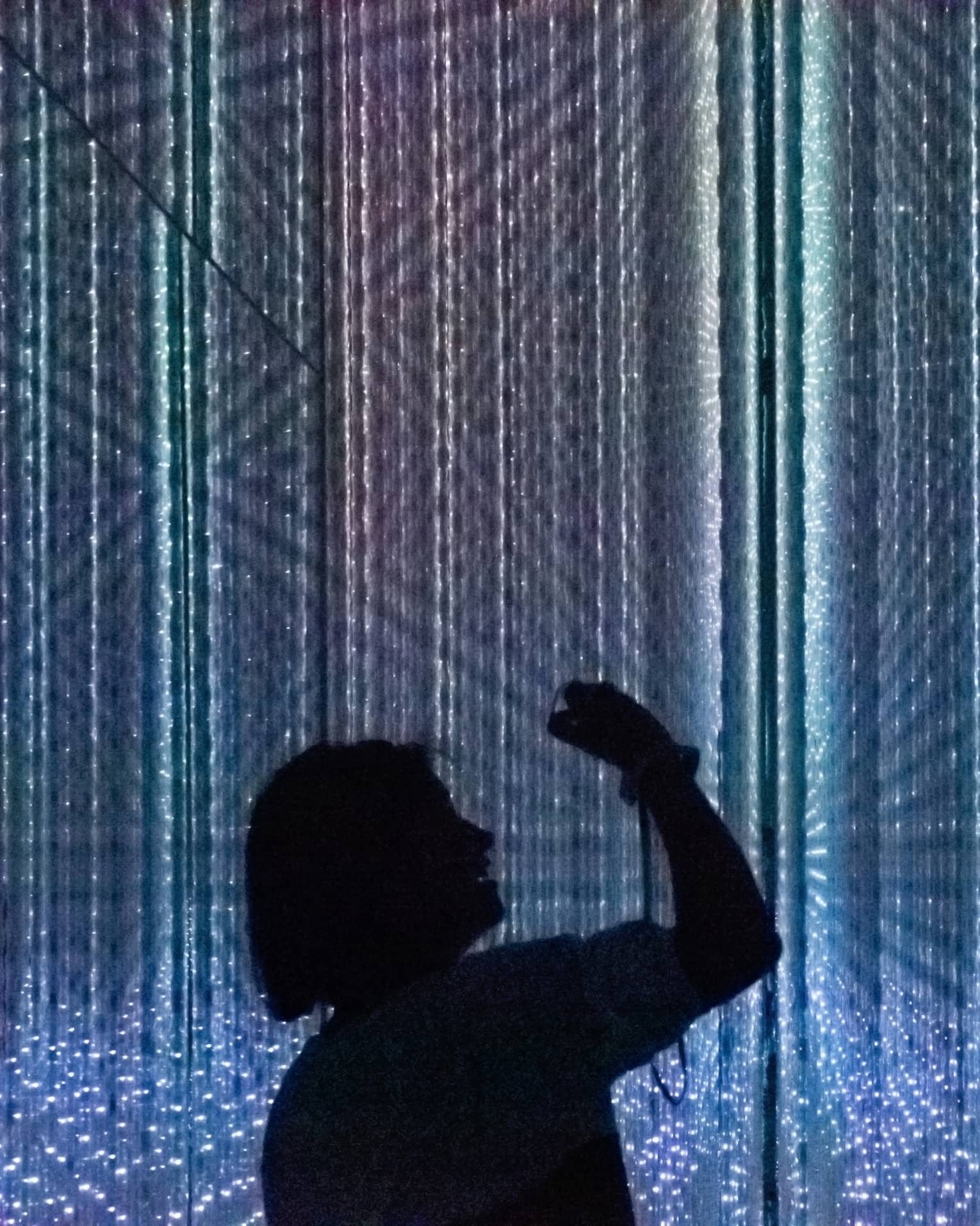 Silhouettes of people enjoying the digital art exhibit at Teamlab Planet