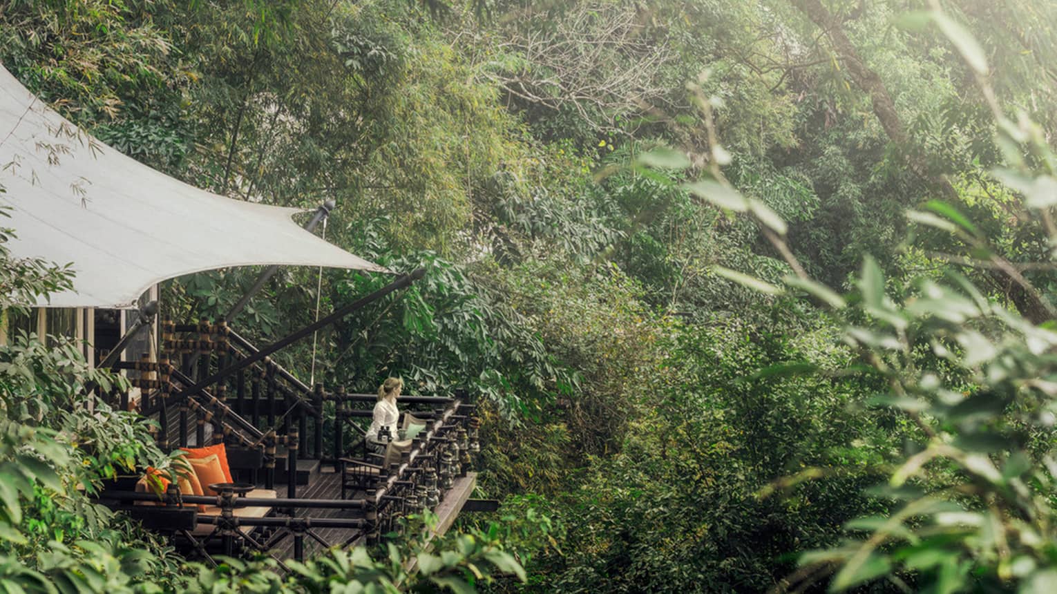 Woman stands on treetop terrace patio, surrounded by tropical forest
