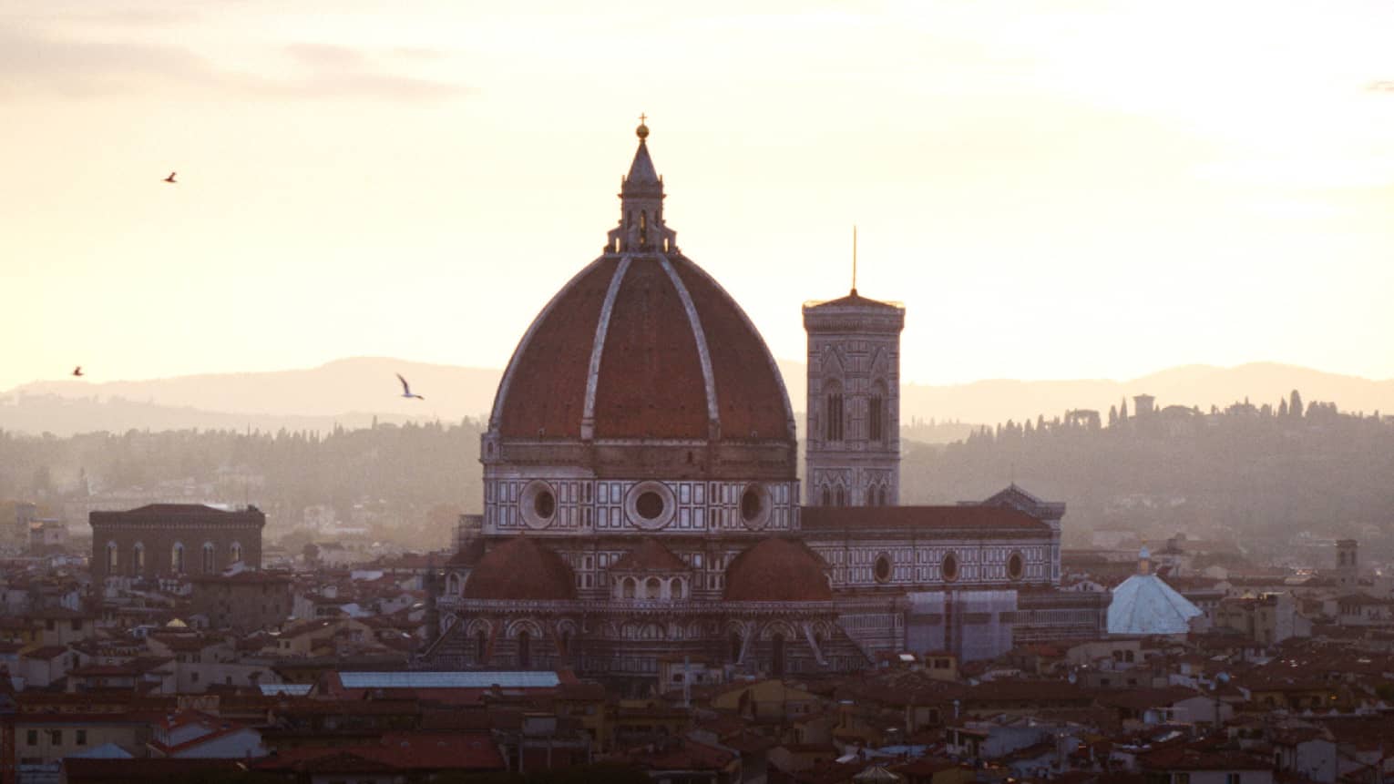 Ornate cathedral with a large dome and bell tower at sunset, birds flying nearby, rooftops in the foreground and distant hills visible under soft-colored sky.