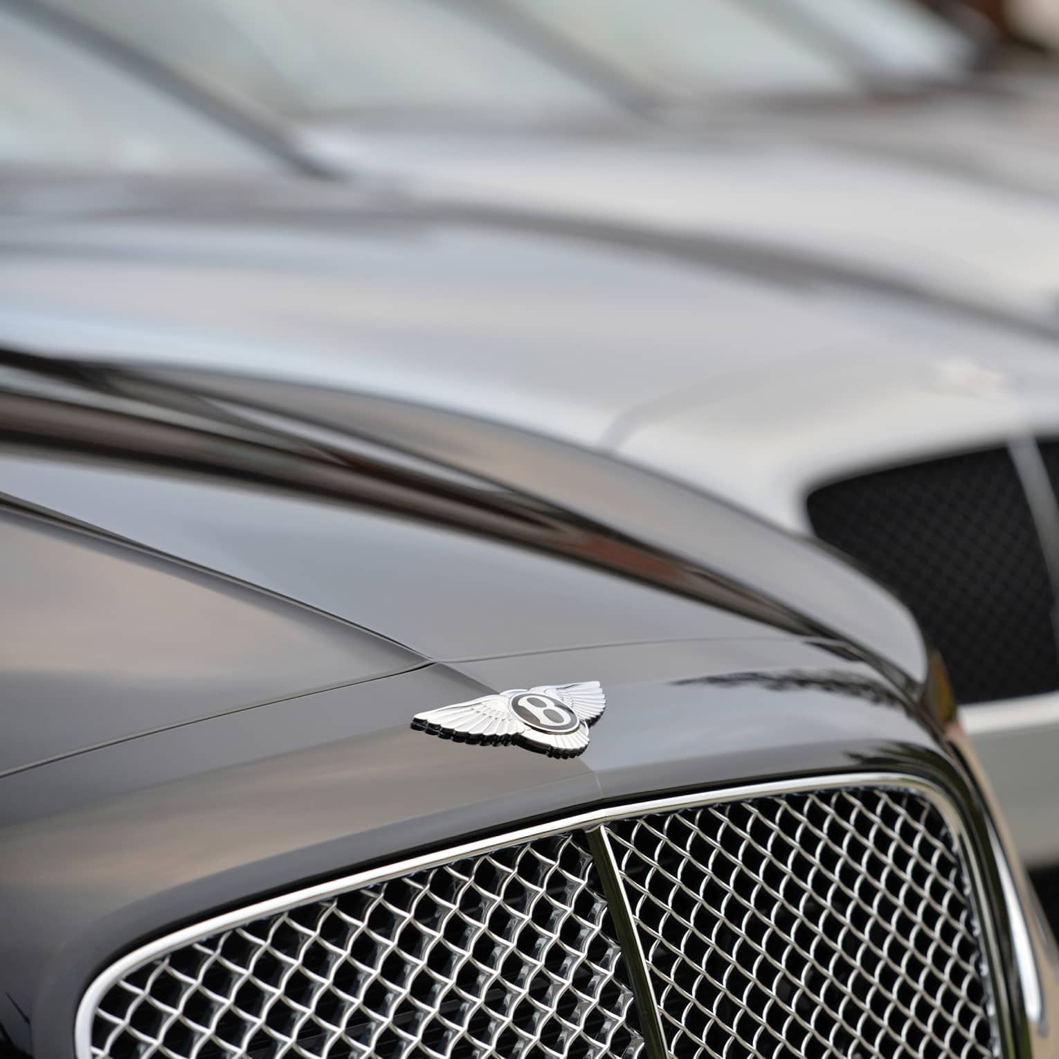 Close up of Bentley car, as part of line up of luxury cars