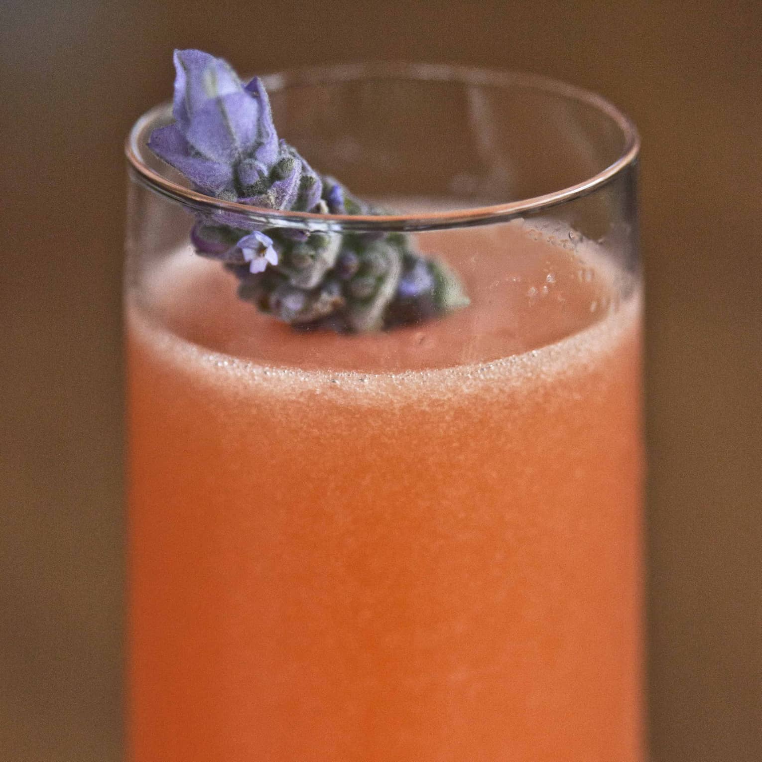 Tall glass with orange cocktail, lavendar garnish