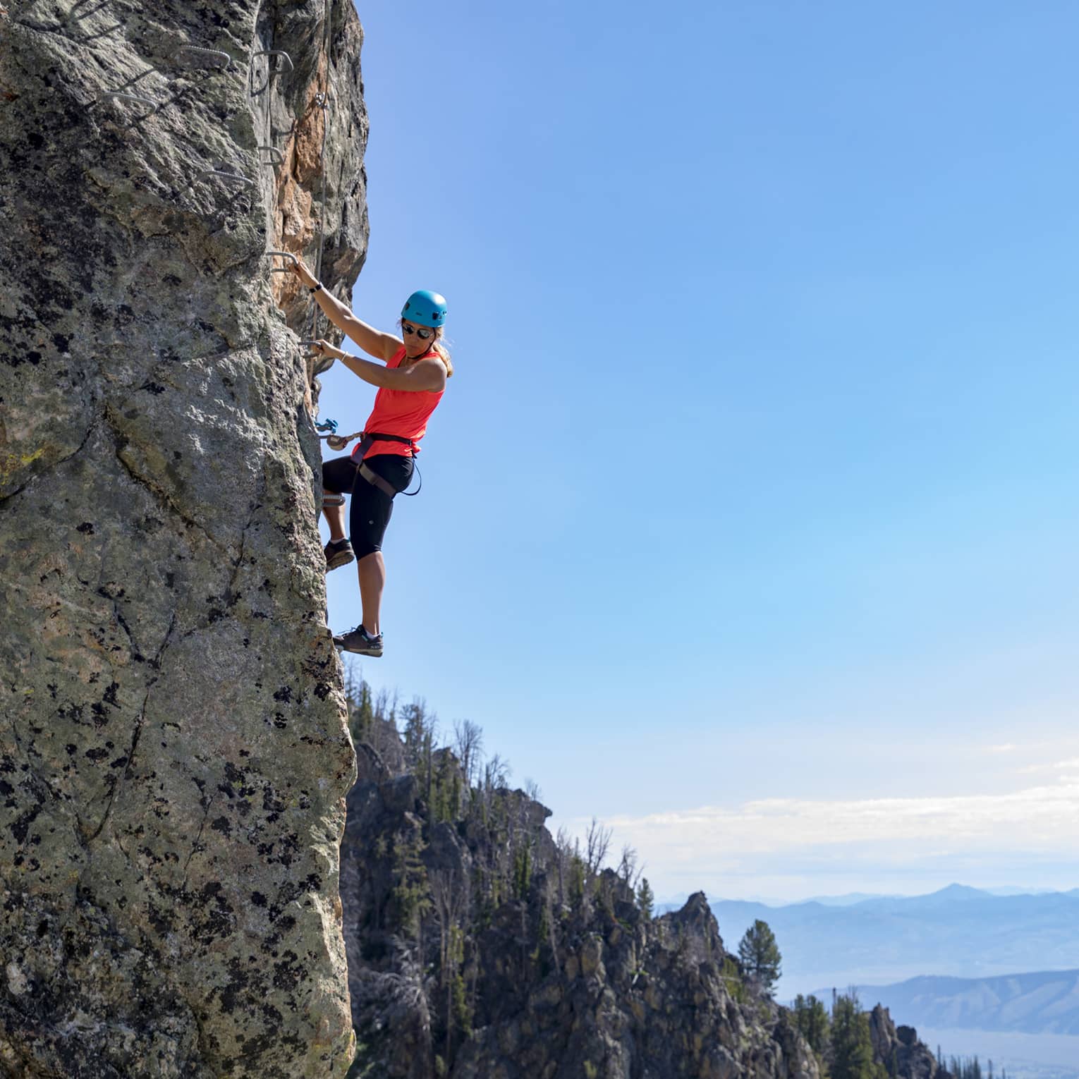 A person rock climbing with trees in the distance.