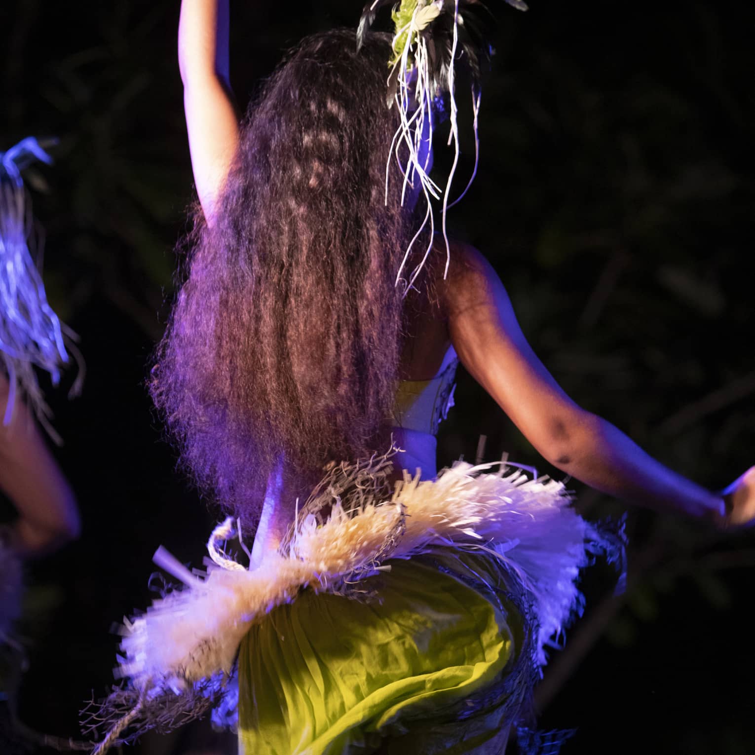 Hawaiian hula dancer