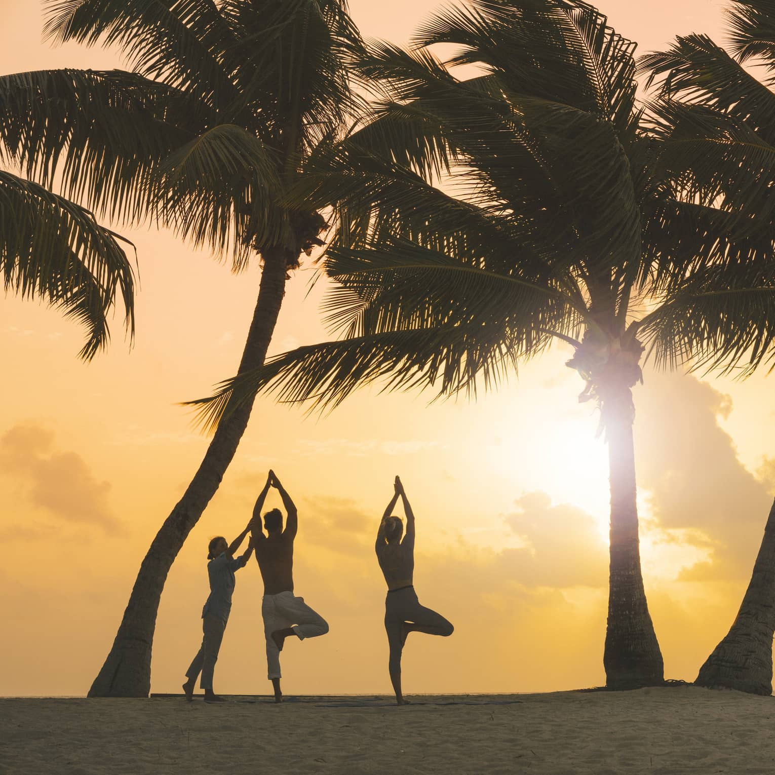 The morning sun silhouetting a couple doing yoga poses with an instructor on a beach surrounded by palm trees and greenery.