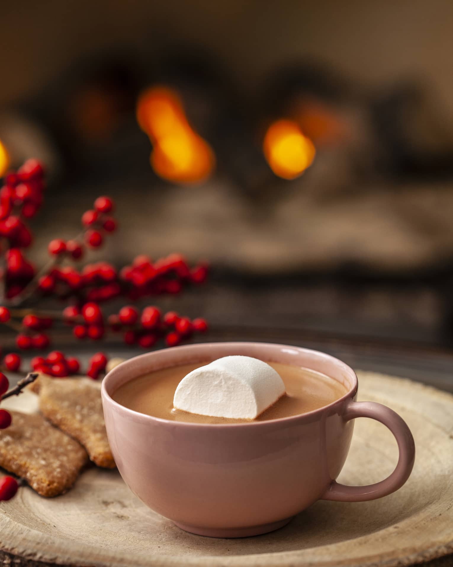 A mug of hot chocolate with a marshmallow in it