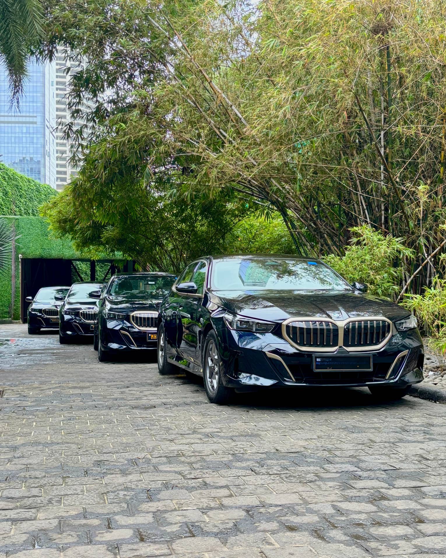 A line of luxury cars parked outdoors