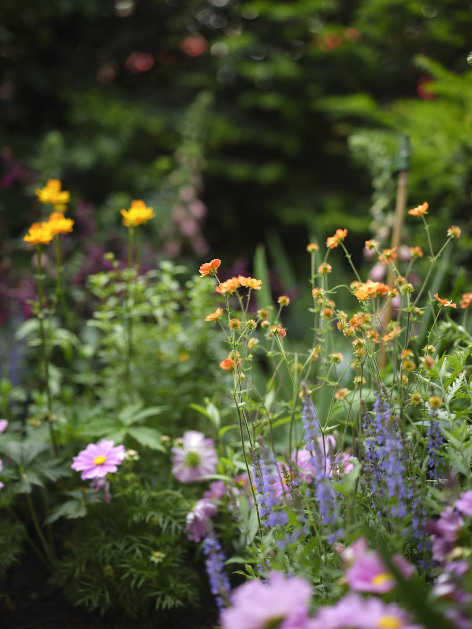 On the Terrace Four Seasons Hotel London at Park Lane