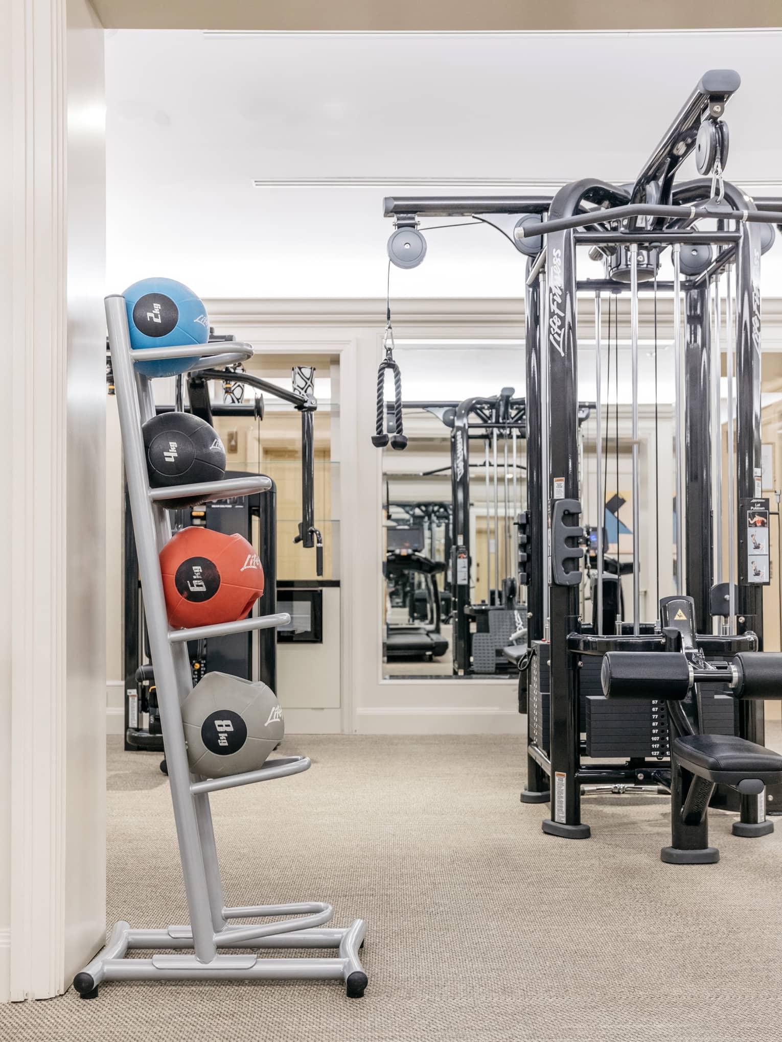 Fitness centre featuring weight machines and rack of weighted balls