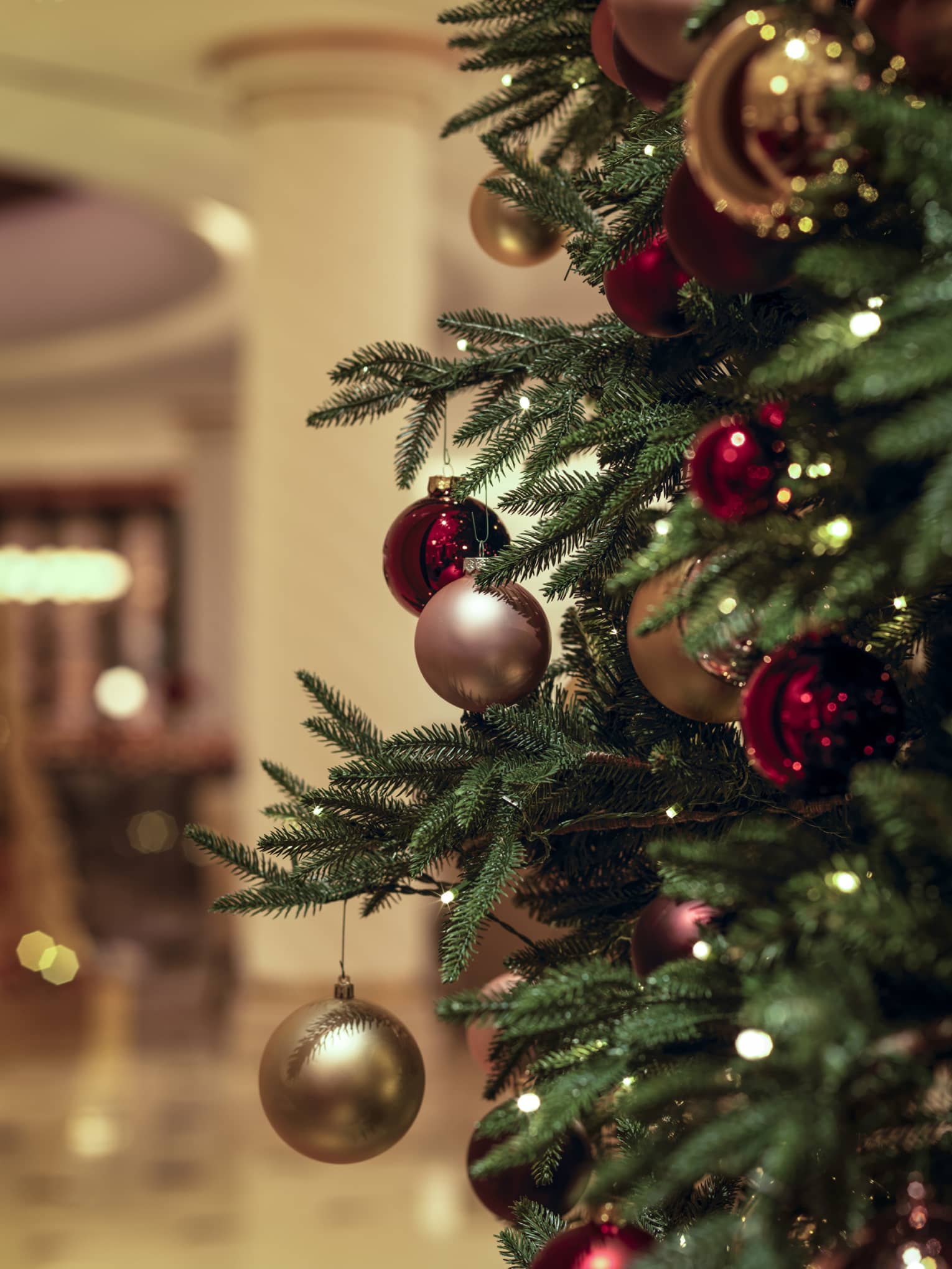 The side of a Christmas tree with gold and red ornaments.