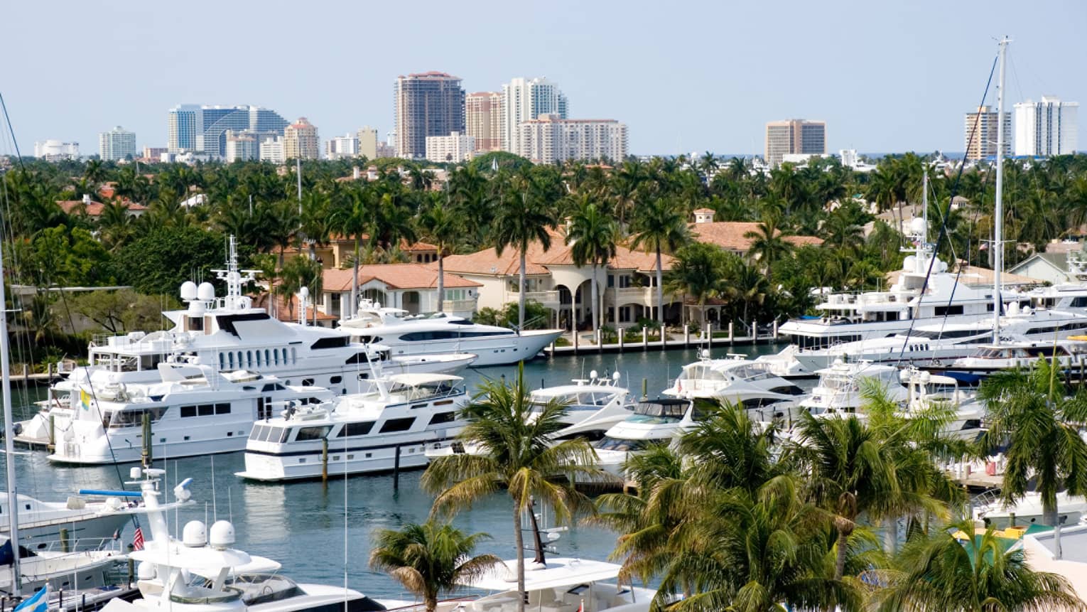Many boats in the water with palm trees on the land and city buildings in the background.