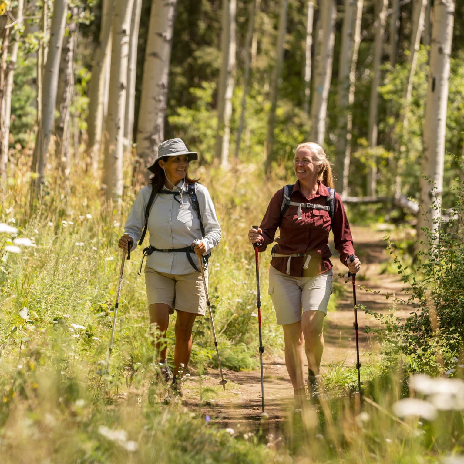 Two smiling hikers with walking poles hike along a sunny path within a golden forest of wildflowers and white-barked trees.