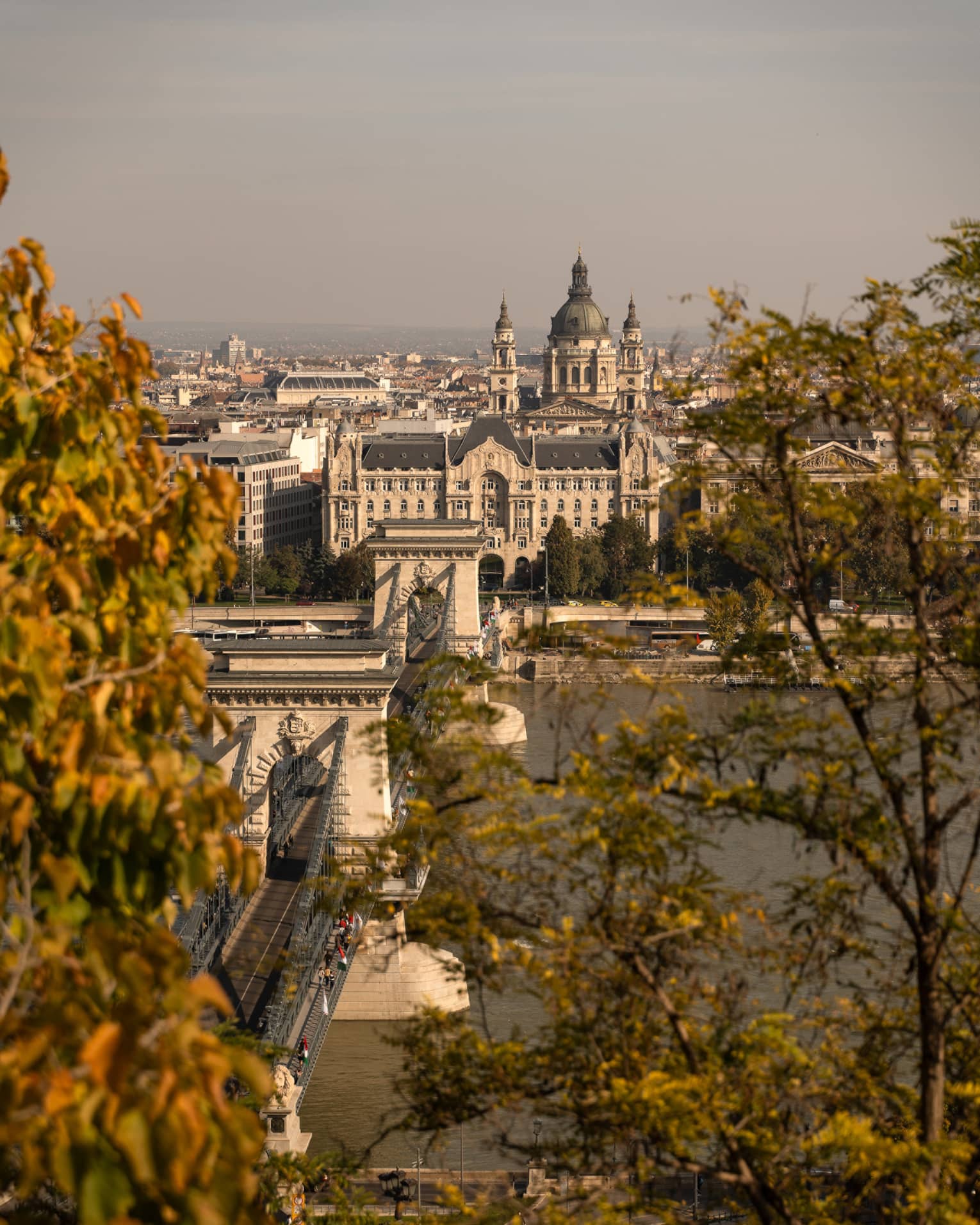 Budapest city and river view through trees