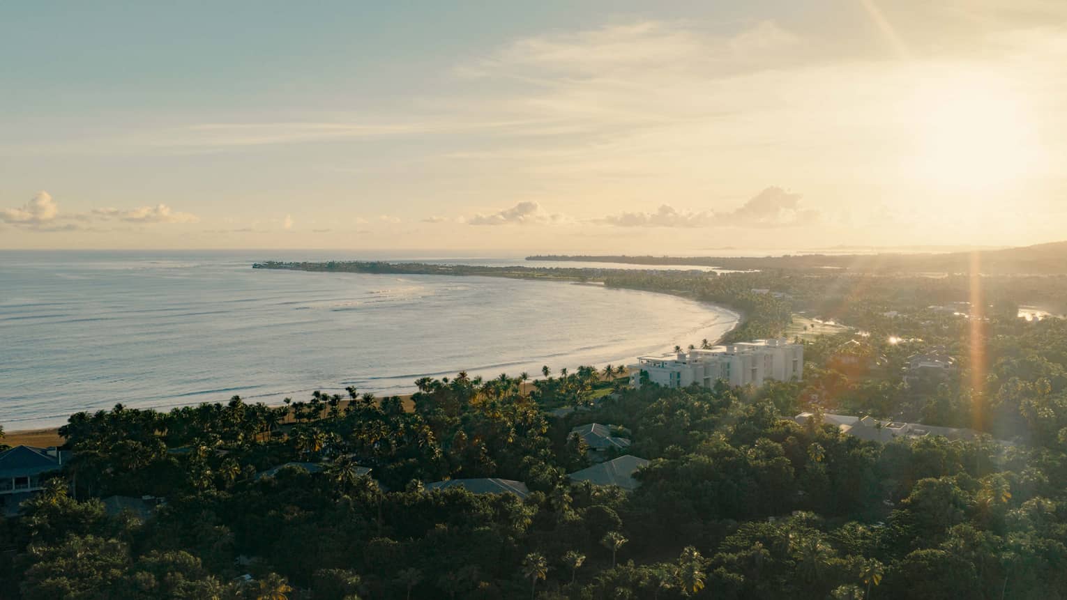The sunny resort framed by trees 
