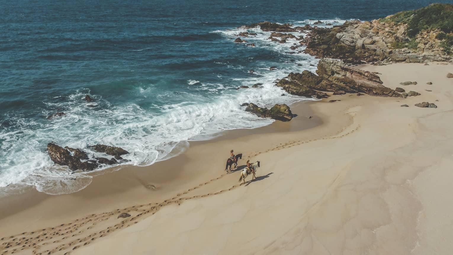 Two people riding horses on the beach next to the ocean.