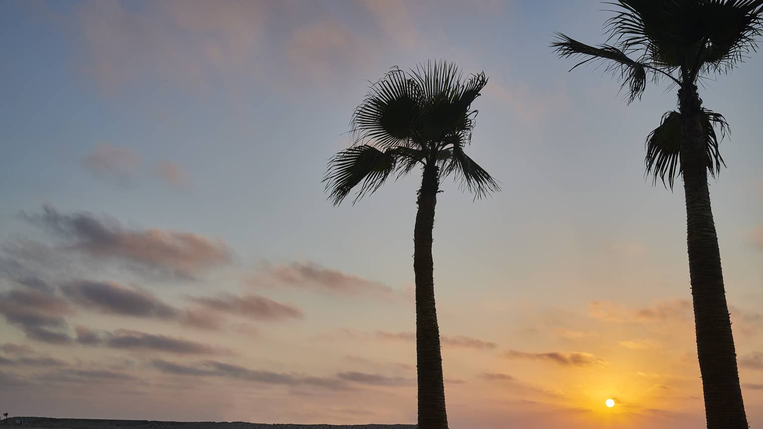 Four Seasons Hotels and Resorts Luxury Hotels Four Seasons Annual