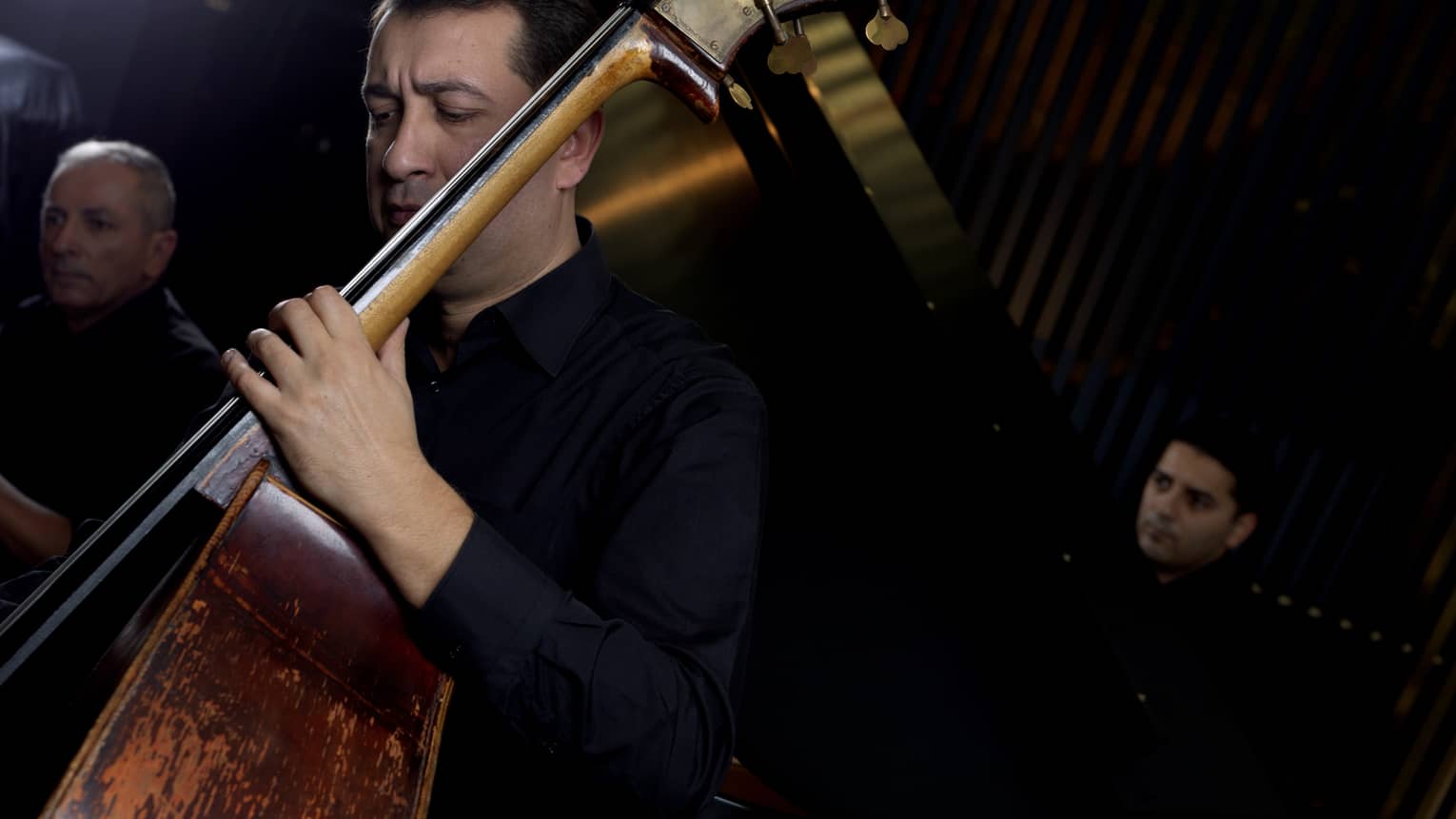 Close-up of Kaspia Band musicians, man playing standing bass 