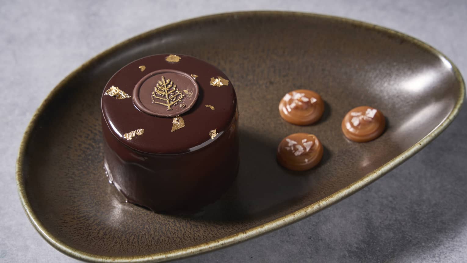 Chocolate cake with Four Seasons logo on it and three circles of chocolate on the side.