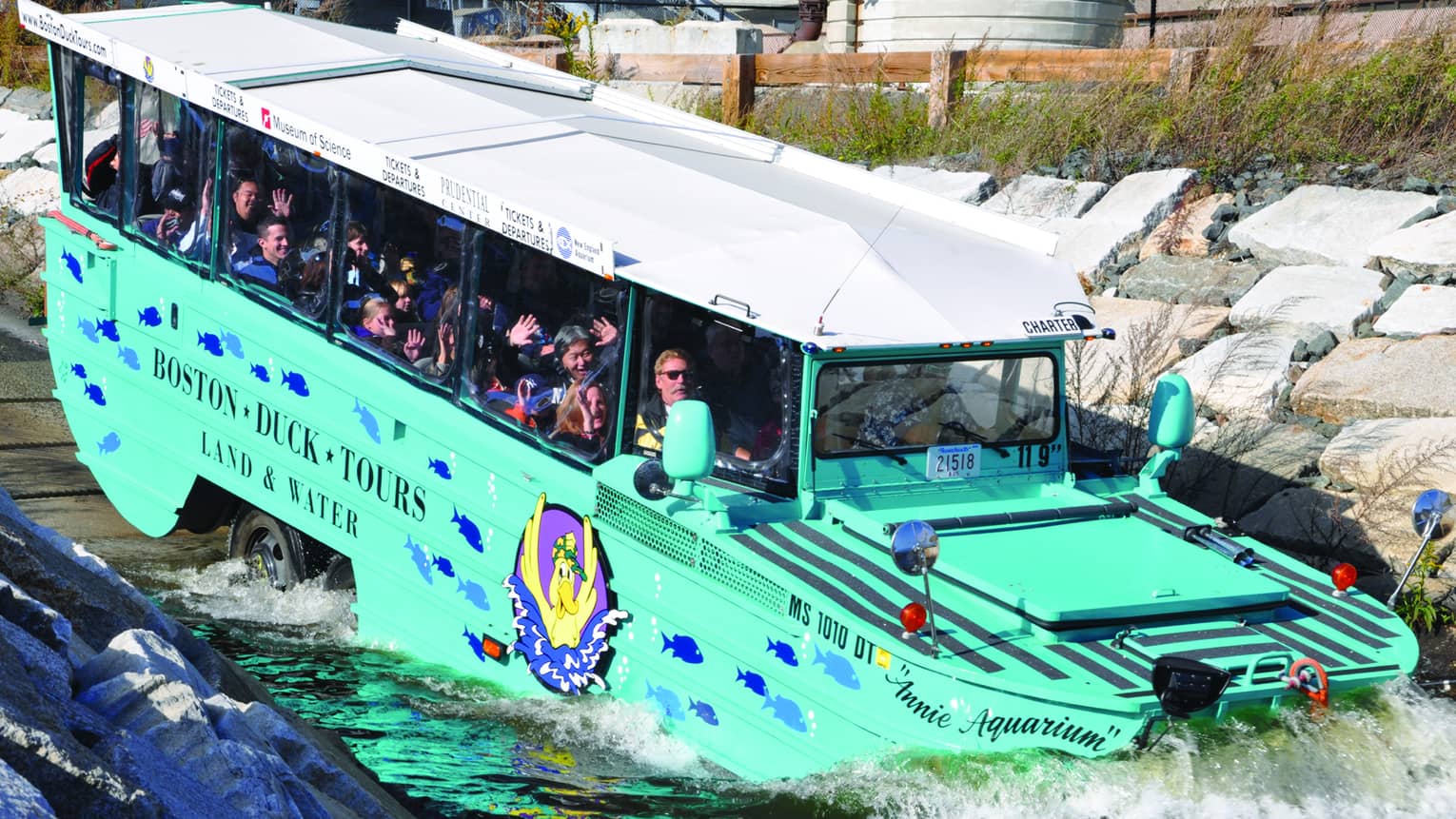 Green Boston Duck Tour bus with excited tourists in windows drives into the water 