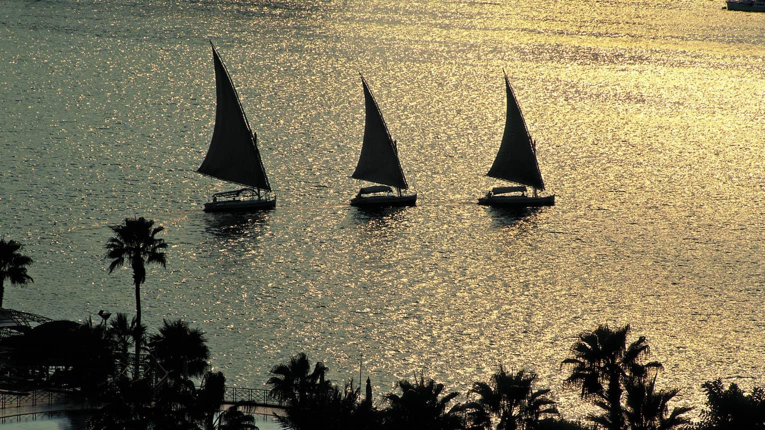 Silhouettes of three traditional felucca wooden sailboats on the Nile river at sunset