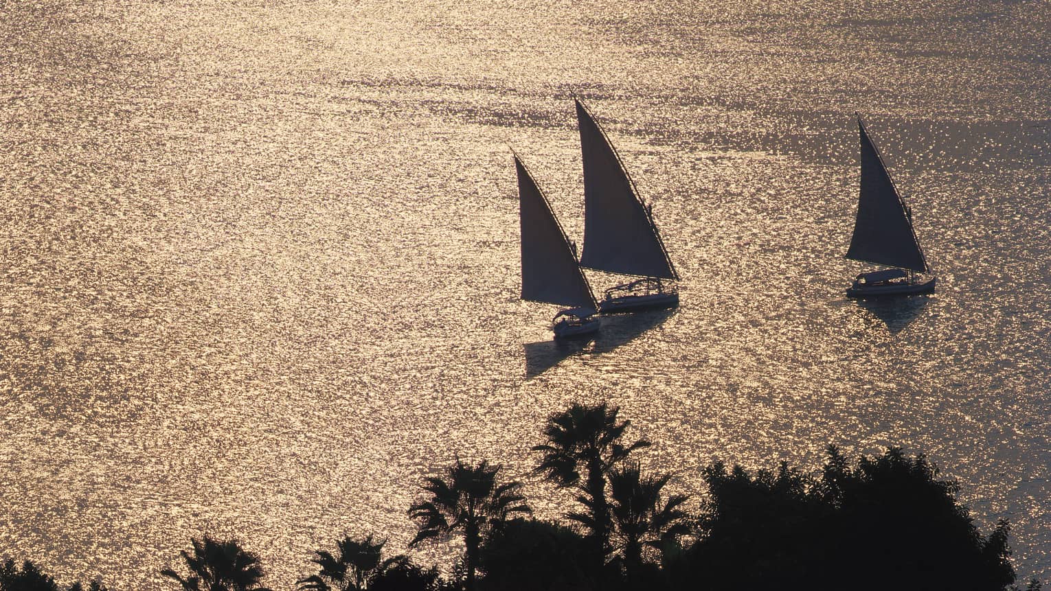 Silhouettes of three sailboats on Nile river at dusk