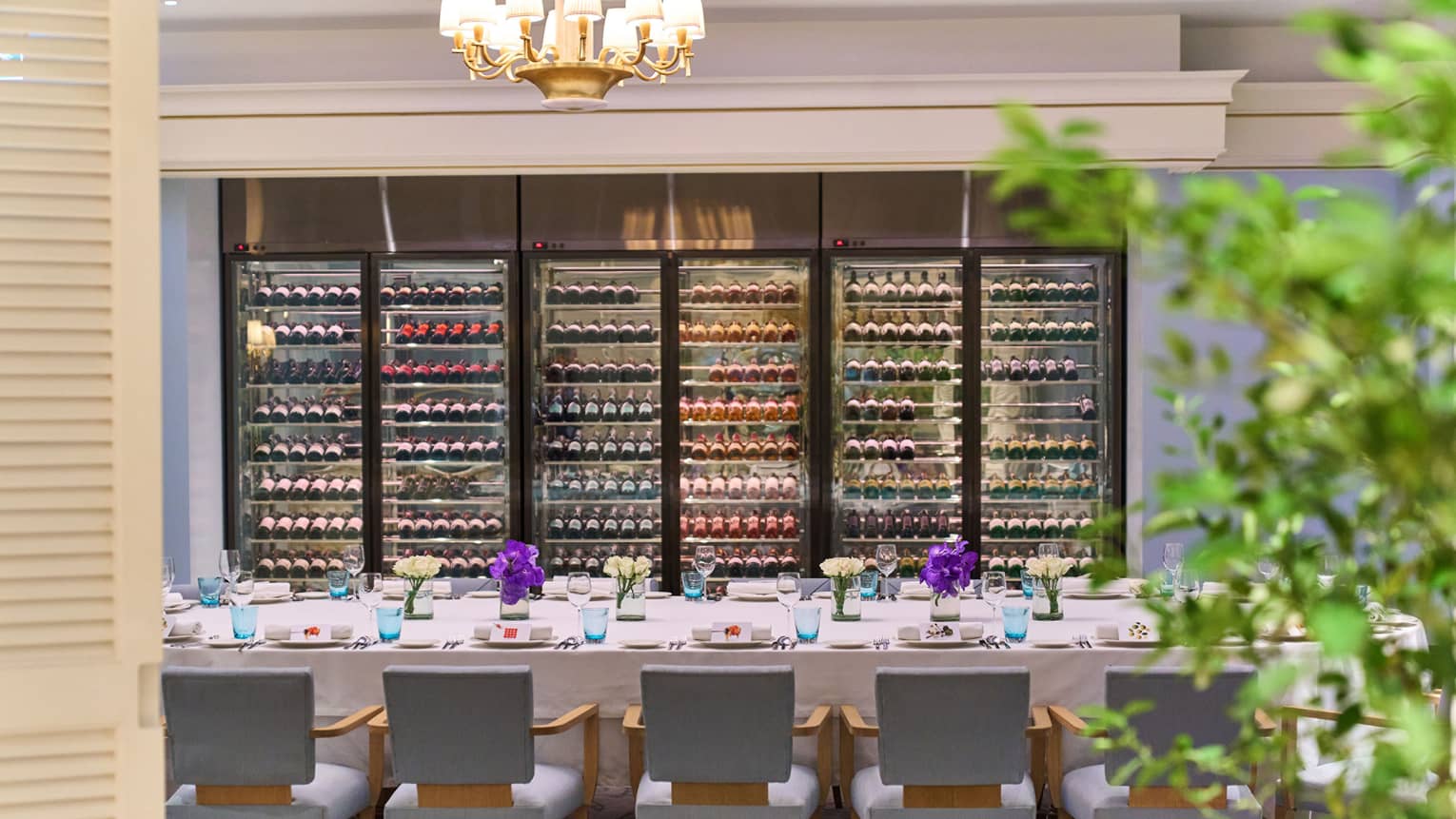 A large dining table with elegant place settings and lined by comfortable chairs before a wall of well-stocked wine fridges.