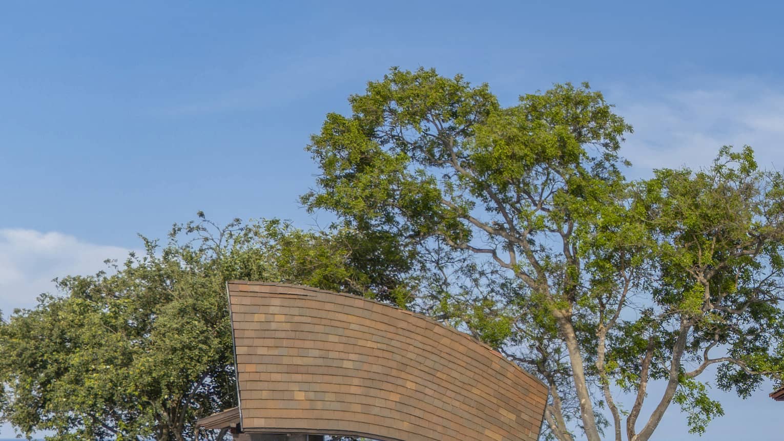 Four Seasons Peninsula Papagayo, Costa Rica (Amex Trending 2026) 3