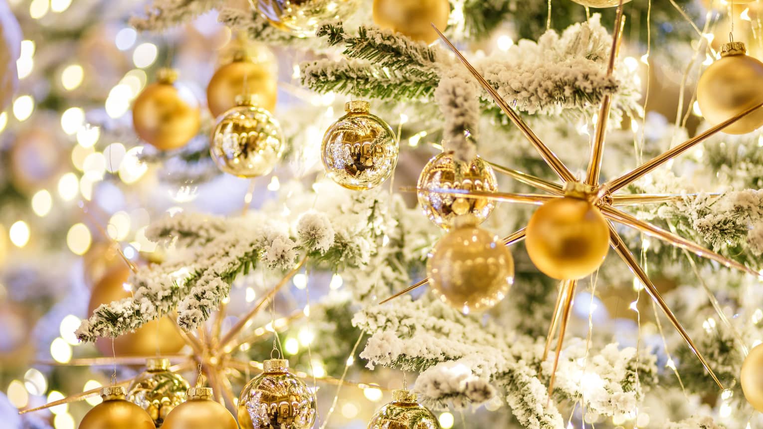 Several golden ornaments on a snow covered Christmas tree. 