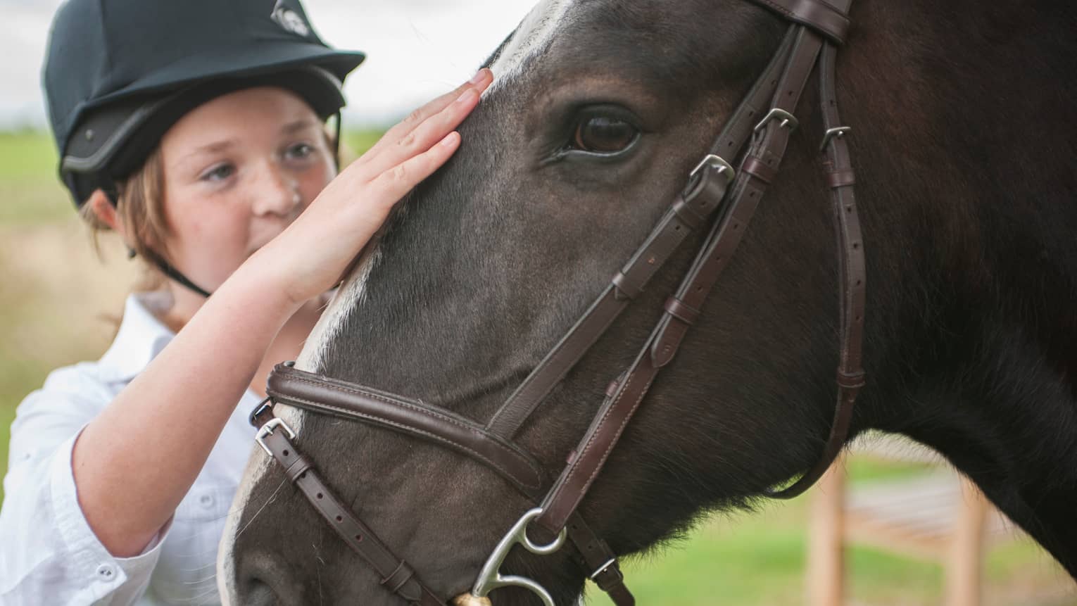 Close-up of child wearing equestrian helmet, petting horse