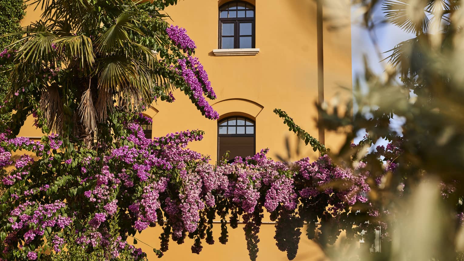 Exterior of yellow hotel with fuchsia flowers in forefront
